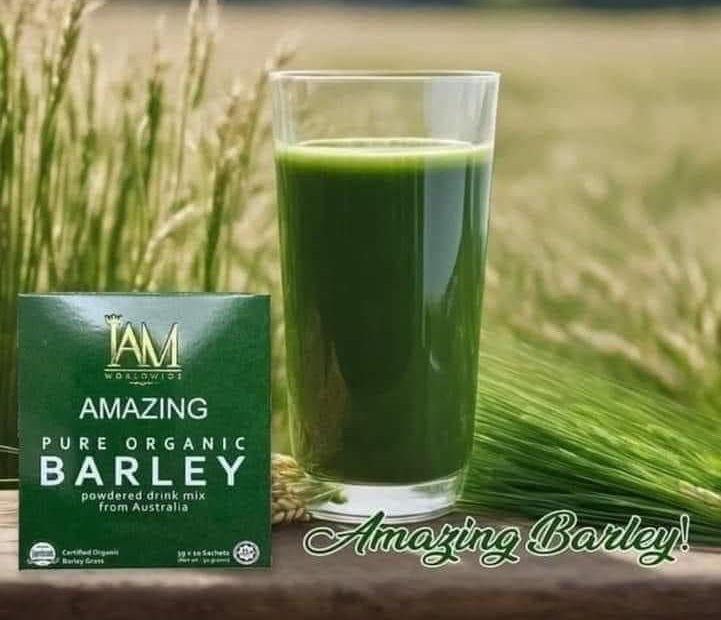 Amazing Pure Organic Barley Powdered Drink Mix  (2 Boxes)